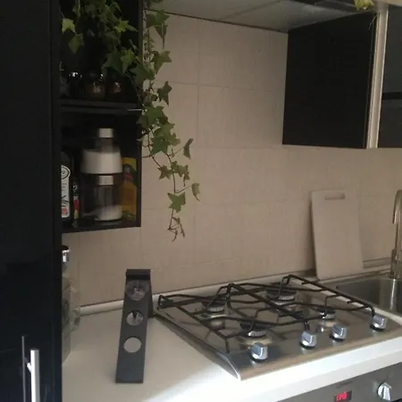 Near Historic Center With Bicycles Apartment *